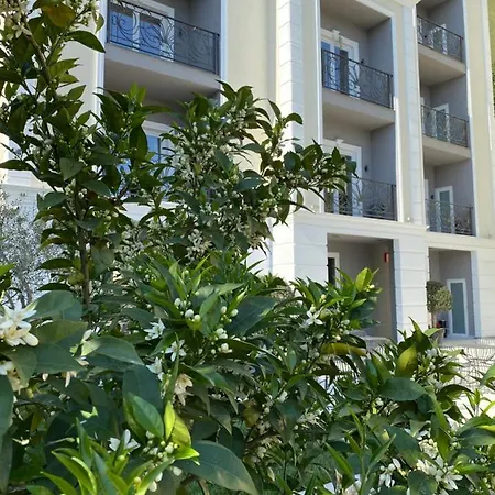 Hotel Venis